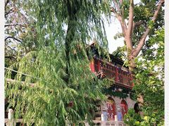 -京东大溶洞景区