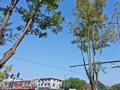 -秋栗香(地安门店)