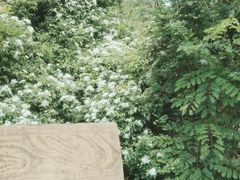 -梁野山景区