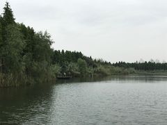 -溱湖国家湿地公园