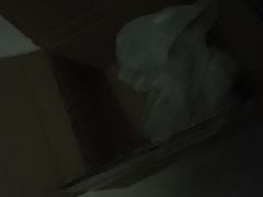 -家乐福(金观音店)