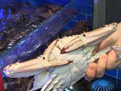 -金海湾海鲜排档(朱家尖店)