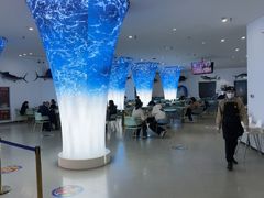 -深海中餐厅(国家海洋博物馆店)