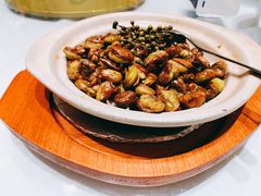 -梦都海鲜酒家(万达广场江桥店)