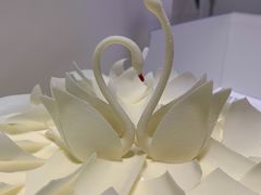 -BLACKSWAN黑天鹅(环球店)
