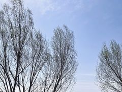 -野鸭湖国家湿地公园