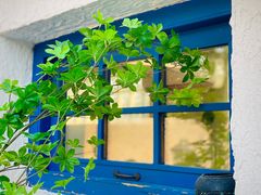 -Sirena海妖日咖夜酒