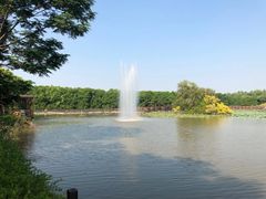 -大湾区中央湿地公园