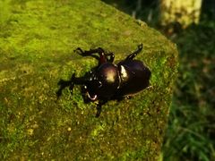 -上海市保健医疗中心