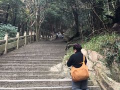 -普陀山风景区-佛顶山