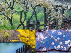 -九如山休闲旅游度假区