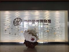 -青岛贝壳博物馆