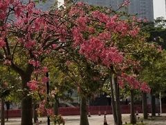 -海港城购物中心