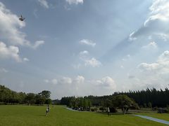 -宜兴龙背山森林公园