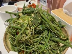 炝拌南瓜苗-锦尚阁烤鱼(望京新荟城店)