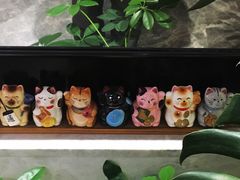 -古耳咖啡(北锣店)