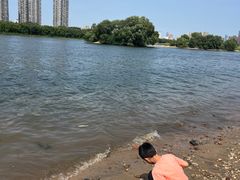 -长白岛森林公园