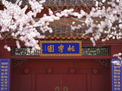 -桃花堤公园