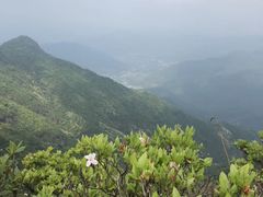 -鸡枕山