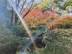 -中国茶叶博物馆(双峰馆区)