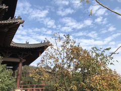 -杭州半山国家森林公园