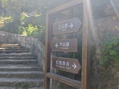 -大岭沟猕猴桃谷风景区