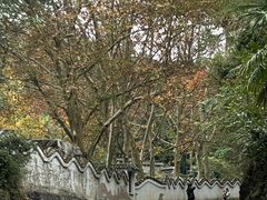 -贵州省植物园