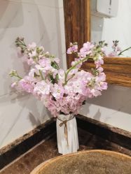 -至爱至信新中式SPA疗愈会所