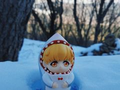 -帽儿山国家森林公园