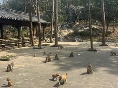 -千岛湖东南湖区