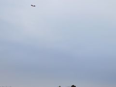 -春花秋色城市公园