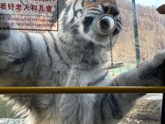 -栾川竹海野生动物园