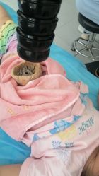 -豆乐园健康调理·小儿推拿