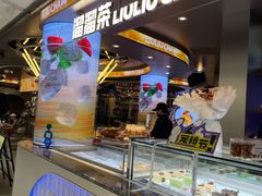 -TD66高山铁皮石斛养生茶饮