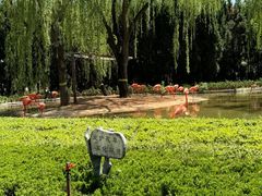 -石家庄市动物园