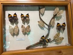 -昆明动物博物馆