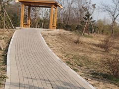 -花园口旅游区