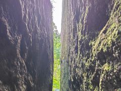 -汤旺河林海奇石景区