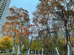 -顺峰海鲜酒楼(省府店)