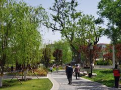 -西海子公园