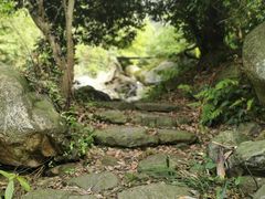 -东林大峡谷