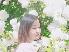 -杭州城北体育公园