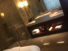 -常州环球恐龙城维景国际大酒店