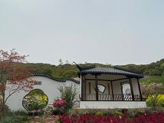 -苏州上方山国家森林公园