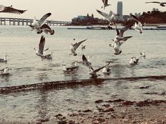 -海味当家·蒸锅海鲜(星海公园店)