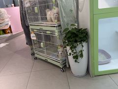 -小呆的宠物店·宠物售卖·宠物寄养(城西店)