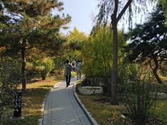 -燕郊植物园