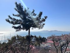 -青岛海滨风景区小鱼山