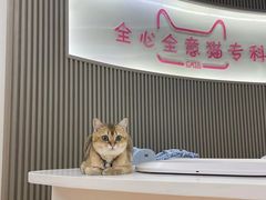 -全心全意动物诊疗中心医院(北苑店)