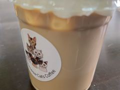 冰橘皮拿铁-Cappucimeow猫咪咖啡馆(韦伯时代店)